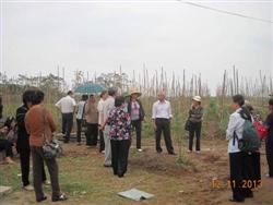 CLB NTD Thăng Long tổ chức hội viện đi tham quan thực địa
